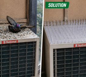 BirdScare Window AC Kit | Anti Bird Protection Kit for Air Conditioner Outd